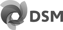 DSM Composite Resins